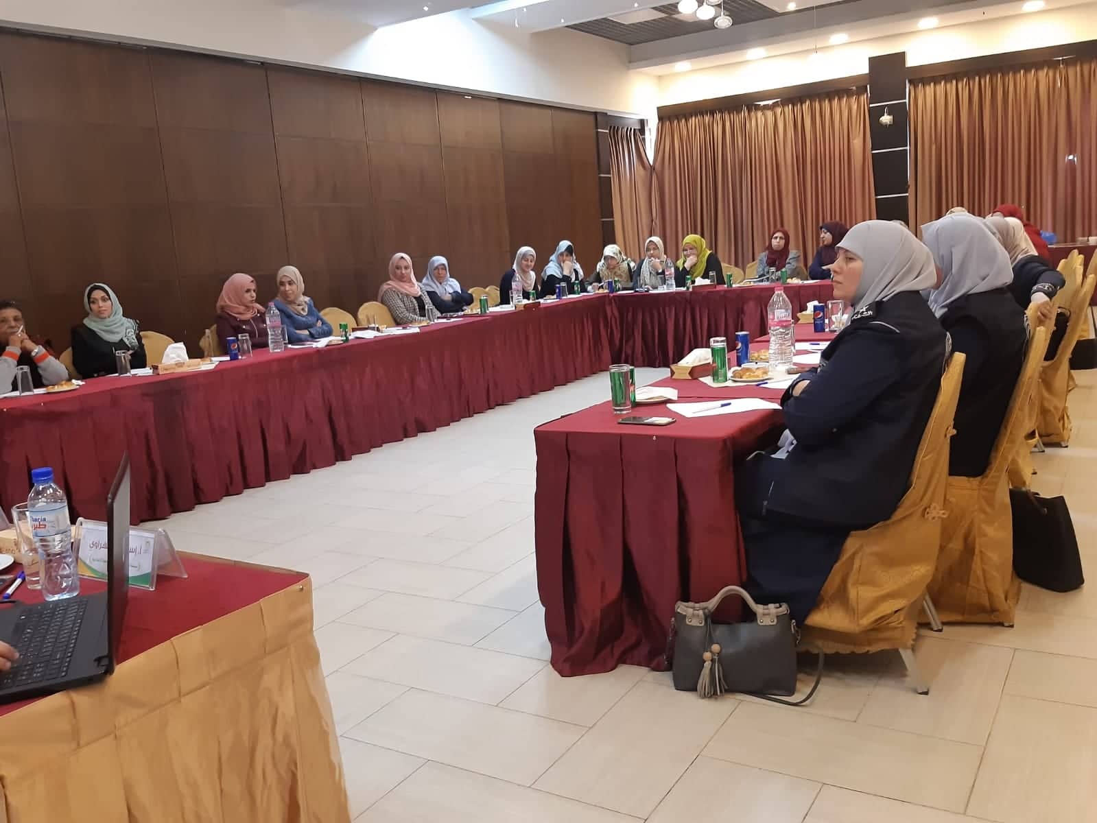 وزارة شئون المرأة تنظم ورشة عمل حول واقع النساء الناجيات من العنف
